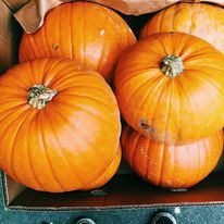 1150 image for Opposite Cafe Chapel Allerton,4 Stainbeck Ln, Chapel Allerton, Leeds, West Yorkshire, England, LS7 3QY