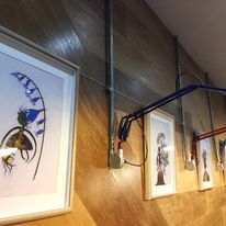 1153 image for Opposite Cafe Chapel Allerton,4 Stainbeck Ln, Chapel Allerton, Leeds, West Yorkshire, England, LS7 3QY