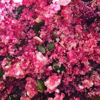 1227 image for Opposite Cafe Chapel Allerton,4 Stainbeck Ln, Chapel Allerton, Leeds, West Yorkshire, England, LS7 3QY