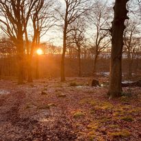 150 image for Opposite Cafe Chapel Allerton,4 Stainbeck Ln, Chapel Allerton, Leeds, West Yorkshire, England, LS7 3QY