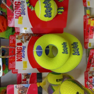 animal-planet-cookridge-18 image for Animal Planet Cookridge,34 Tinshill Rd, Cookridge, Leeds, West Yorkshire, LS16 7DU