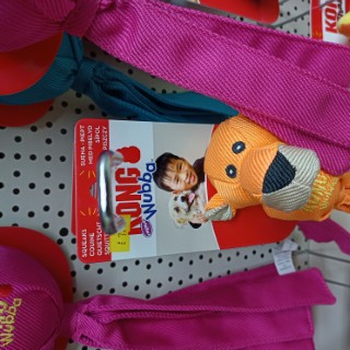 animal-planet-cookridge-22 image for Animal Planet Cookridge,34 Tinshill Rd, Cookridge, Leeds, West Yorkshire, LS16 7DU