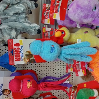 animal-planet-cookridge-23 image for Animal Planet Cookridge,34 Tinshill Rd, Cookridge, Leeds, West Yorkshire, LS16 7DU