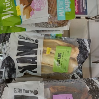 animal-planet-cookridge-46 image for Animal Planet Cookridge,34 Tinshill Rd, Cookridge, Leeds, West Yorkshire, LS16 7DU