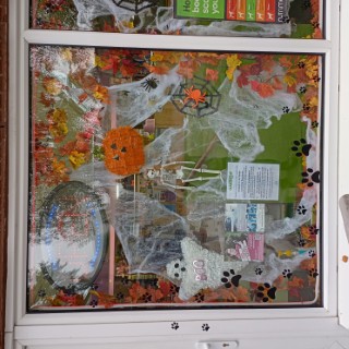 animal-planet-cookridge-6 image for Animal Planet Cookridge,34 Tinshill Rd, Cookridge, Leeds, West Yorkshire, LS16 7DU