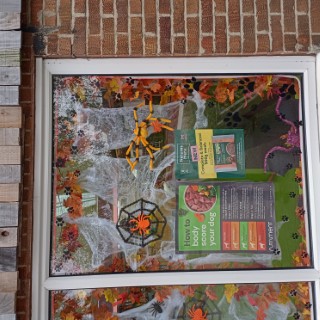 animal-planet-cookridge-7 image for Animal Planet Cookridge,34 Tinshill Rd, Cookridge, Leeds, West Yorkshire, LS16 7DU