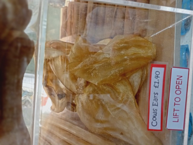 img-20251104-095410-2 image for Animal Planet Cookridge,34 Tinshill Rd, Cookridge, Leeds, West Yorkshire, LS16 7DU